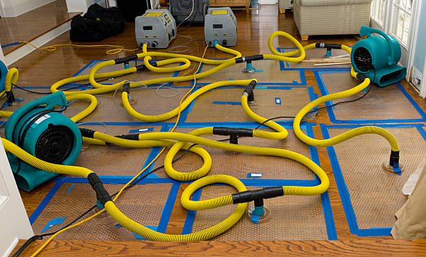 Professional Water Damage Repair technician working in Chestnut Hill, MA